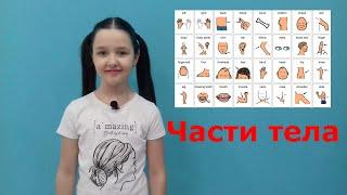 Части тела на английском языке. Parts of the body.