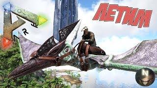 Приручаем Птеранодона ARK: Survival Evolved