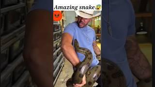 amazing snake|| #respect #shortfeed #viral #shorts #amazingsnake