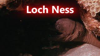 Loch Ness Monster, Real or Fake?