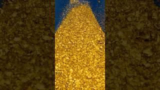 Find Hidden Gold in Your Local Quarry