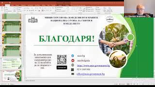 Здраве на пчелите и успешна реализация на пчелни продукти