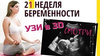 21 неделя беременности. Развитие плода. УЗИ в 3D. Как себя чувствует беременная. Как плод?