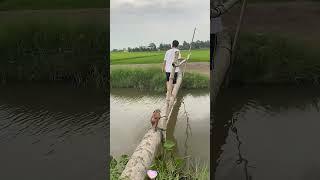 Dog vs water #funny #dog #fyp #youtube #pet #Love #happy #cute #funnydog #foryou