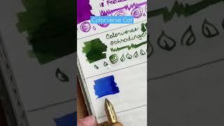 Colorverse Schrödinger & Cat are lovely! I ️ how the cat surprised me. #fountainpencommunity