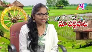 Telangana Folk Singer Ganga Exclusive Interview | Latest Folk Songs 2019  |  Great Telangana TV