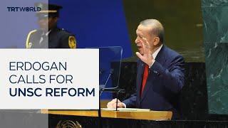 Erdogan seeks justice for Palestine ahead of 79th UNGA