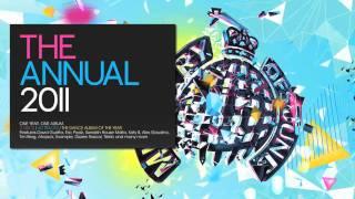 The Annual 2011 (Ministry of Sound) Mega Mix