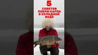 5 СОВЕТОВ по ЛОВЛЕ КАРПА ранней ВЕСНОЙ! #карпфишинг #рыбалка