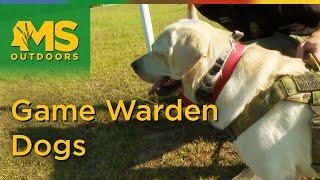 Game Warden Dogs - Mississippi's New K-9 Unit