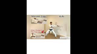 SKO Karate WR. Kata Tekki Shodan Shotokan karate