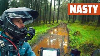 I HAVE to get my Motorcycle Out of this IRISH Forest  | S1E71