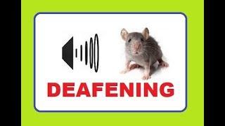 Deafening sound to keep mice away