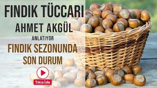 Fındık Sezonunda Son Durum - Fındık Tüccarı Ahmet Akgül - Aks Tv