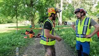 European Tree Worker (ETW) / Slavkov u Brna / Czech / 2023