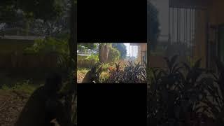 အသေးစား မမ#ka #karmy #army #specialforces #soldier #ကရင်နီ #ကိုယ်တွေ့ဖြစ်ရပ်မှန်ဇာတ်လမ်း #ka