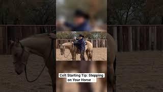 Colt Starting Tip: Stepping on Your Horse with Richard Winters. Watch the full video on our channel