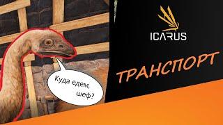 Обзор обновления с транспортом | ICARUS