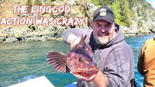 Lingcod Fishing Puget Sound  Washington | San Juan Islands Opening Day 2024