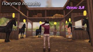 Новые фризы|Покупка лошадей|Удачная версия лошади|Star Stable Online