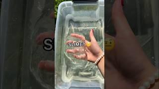 Dishsoap + Salt = Slime?  *How to Make Slime WITHOUT Glue & Activator*