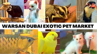 Al Warsan Pet Shop | Largest Pet Market in Dubai | UAE Pet Market