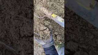 Metal Detecting Finds️ #treasurehunt #metaldetecting #клад #adventure