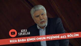 Rıza Baba Şimdi Onun Peşinde 443. Bölüm