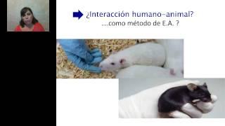 Carolina Mourelle - Biology and Management of Laboratory Rats and Mice