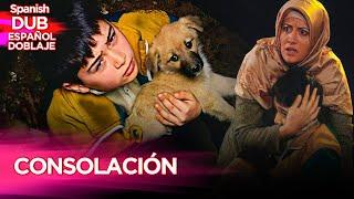 Consolación - Película Turca Doblaje Español - Teselli