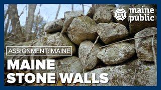 Why Maine's woods have so many rock walls | Assignment: Maine