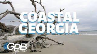 Barrier Islands | Georgia's Physical Features