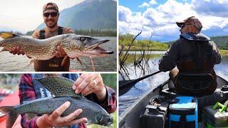 Beaver Hunting in Alaska – Catching Grayling & Northern Pike