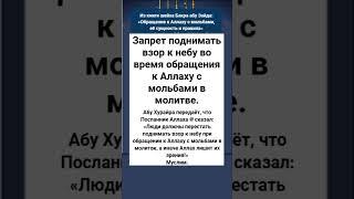 Запрет поднимать взор к небу во время обращения к Аллаху с мольбами в молитве.
