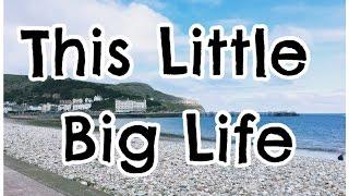 This Little Big Life