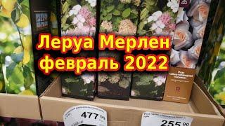 Леруа Мерлен Розы, луковичные и травянистые многолетники/СЕЗОН 2022