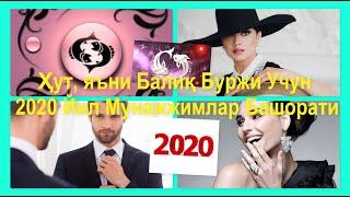 Ҳут, яъни Балиқ Буржи Учун 2020 Йил Мунажжимлар Башорати