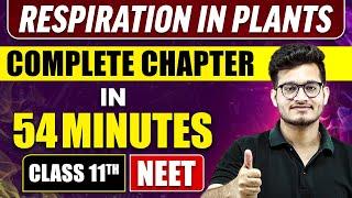 RESPIRATION IN PLANTS in 54 Minutes | Full Chapter Revision | Class 11 NEET