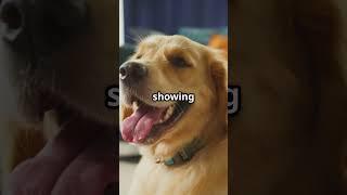 Send to a dog lover! #love #facts #dogs #dog #animals #viral #fun #funny #puppy #cute #viralvideo