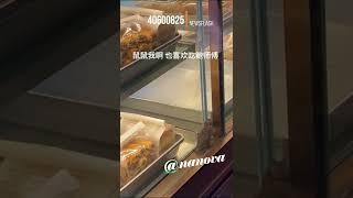 Shocked Customers Find Mouse On Pastry Counter