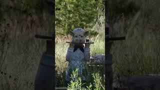 11 Acres in Candy Kitchen, NM with Power Along Road! #candykitchen #newmexico #ramah #gallup #grants