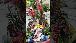 Janmashtmi special#lordkrishna  #treygarden#youtubeshorts #shorts #shree ji creative garden