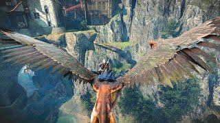 When you can fly, you find strange things in the Witcher 3