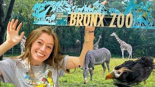 Exploring the Bronx Zoo (New York City) | HAVA MEDIA