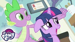 My Little Pony Deutsch  Spike wird raffgierig | Freundschaft ist Magie | Ganze Folge