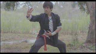 TAI CHI - SUPREME ULTIMATE FIST 太極拳