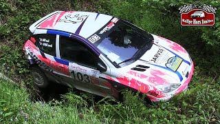 Rallye du Forez 2024 [CRASH]