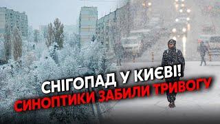 ️В эти минуты! СНЕЖНАЯ БУРЯ накрыла КИЕВ. Сунет ПО ВСЕЙ Украине, заметает ТРАССЫ. Беда НА ДОРОГАХ