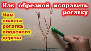 Исправление КРОНЫ с РОГАТКОЙ