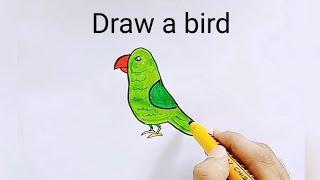 How to draw birds